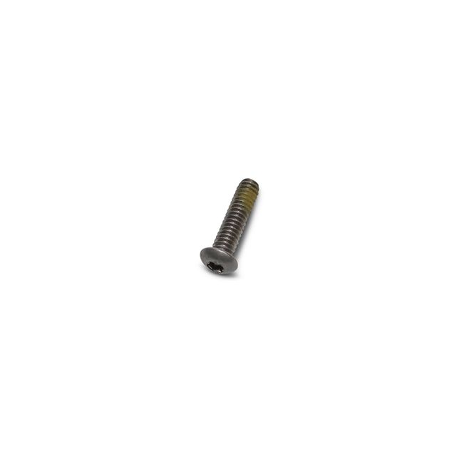 Hovedbilde Skrue, torx, 1/4 20 x 1 SS